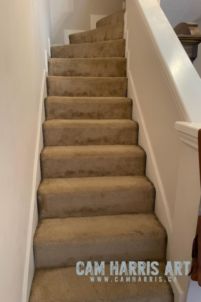 Davidson North Carolina Project before image