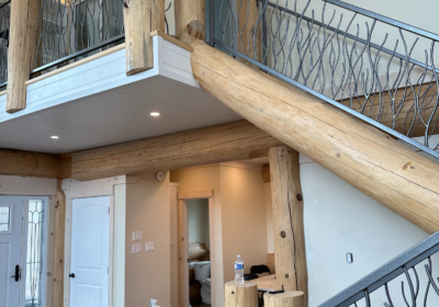 Modern Branch Railing Project Godfrey Ontario